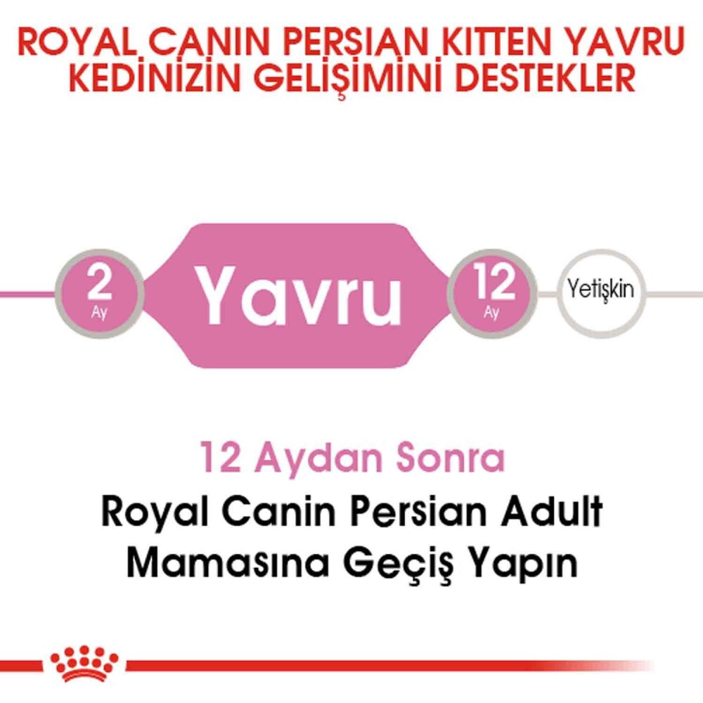 Royal Canin Kitten Persian 32 Yavru Iran Kedilerine Özel Mama 2 KG  | SRC: Barcode: 3182550721219