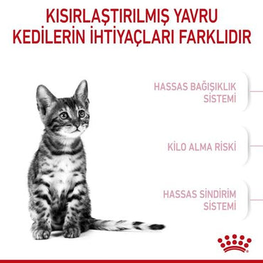 Royal Canin Kitten Sterilised Kısırlaştırılmış Yavru Kedi Maması 2 KG  | SRC: Barcode: 3182550805186