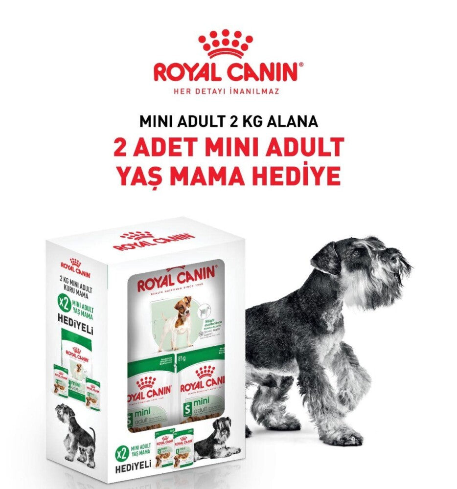 Royal Canin Mini Adult Küçük Irk Yetişkin Köpek Maması Pouch Hediyeli 2 KG 2 ADET  | SRC: Barcode: 10384