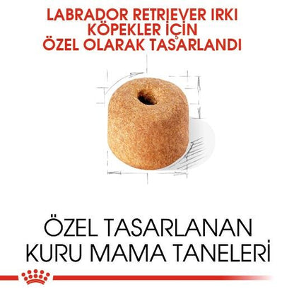 Royal Canin Labrador Retriever Yetişkin Köpek Maması 12 KG  | SRC: Barcode: 3182550715645