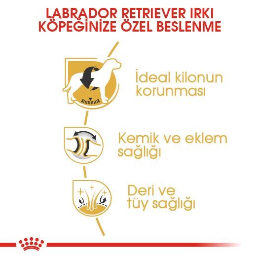 Royal Canin Labrador Retriever Yetişkin Köpek Maması 12 KG  | SRC: Barcode: 3182550715645
