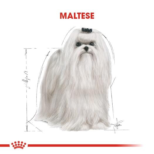 Royal Canin Maltese Terrier Yetişkin Köpek Maması 1.5 KG  | SRC: Barcode: 3182550782203