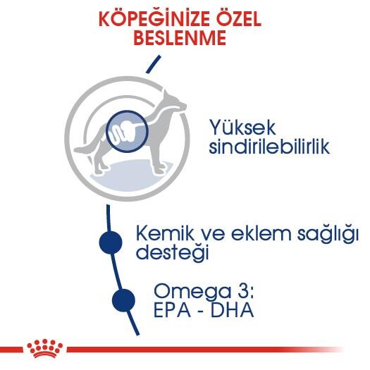 Royal Canin Maxi Adult Büyük Irk Yetişkin Köpek Maması 15 KG  | SRC: Barcode: 3182550732154