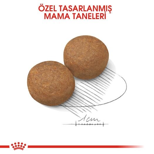 Royal Canin Maxi Adult Büyük Irk Yetişkin Köpek Maması 15 KG  | SRC: Barcode: 3182550732154