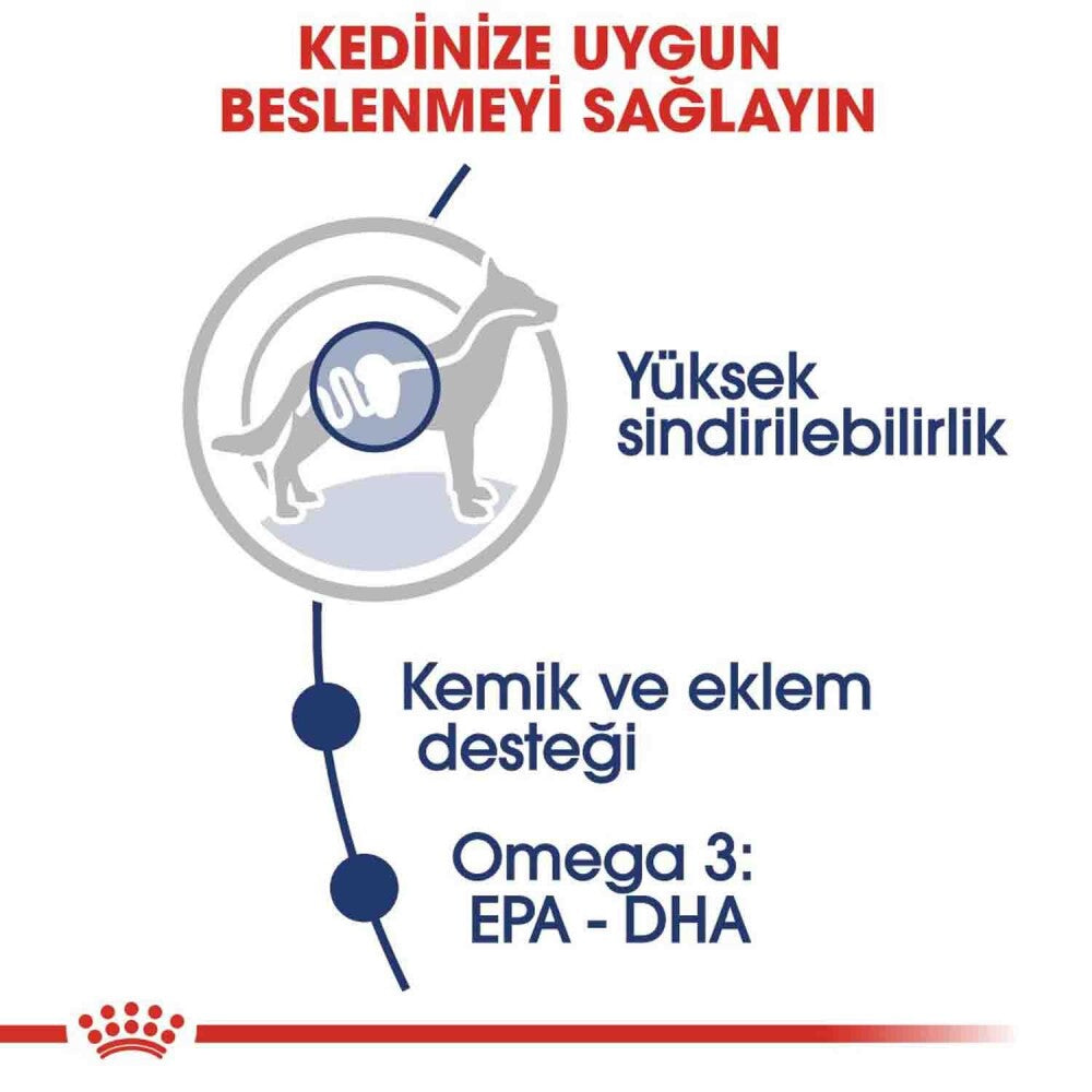 Royal Canin Maxi Adult Büyük Irk Yetişkin Köpekler İçin Parça Etli Konserve Mama 140 GR 10 ADET  | SRC: Barcode: 109401400-10lu