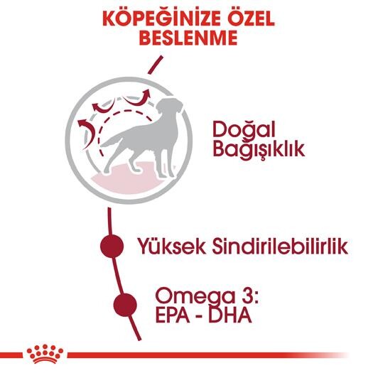 Royal Canin Medium Adult Orta Irk Yetişkin Köpek Maması 15 KG  | SRC: Barcode: 3182550402217
