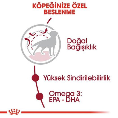Royal Canin Medium Adult Orta Irk Yetişkin Köpek Maması 15 KG  | SRC: Barcode: 3182550402217