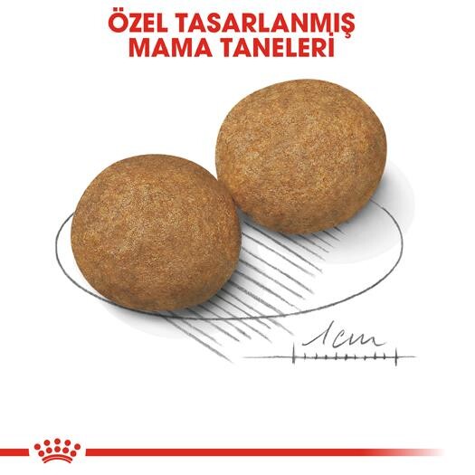 Royal Canin Medium Adult Orta Irk Yetişkin Köpek Maması 15 KG  | SRC: Barcode: 3182550402217