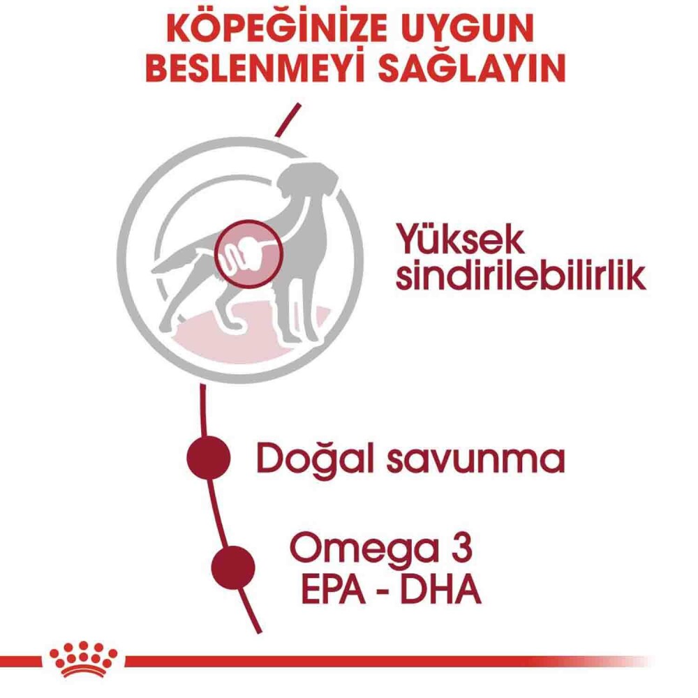 Royal Canin Medium Adult Orta Irk Yetişkin Köpekler İçin Parça Etli Yaş Mama 140 GR TEKLI  | SRC: Barcode: 9003579008379
