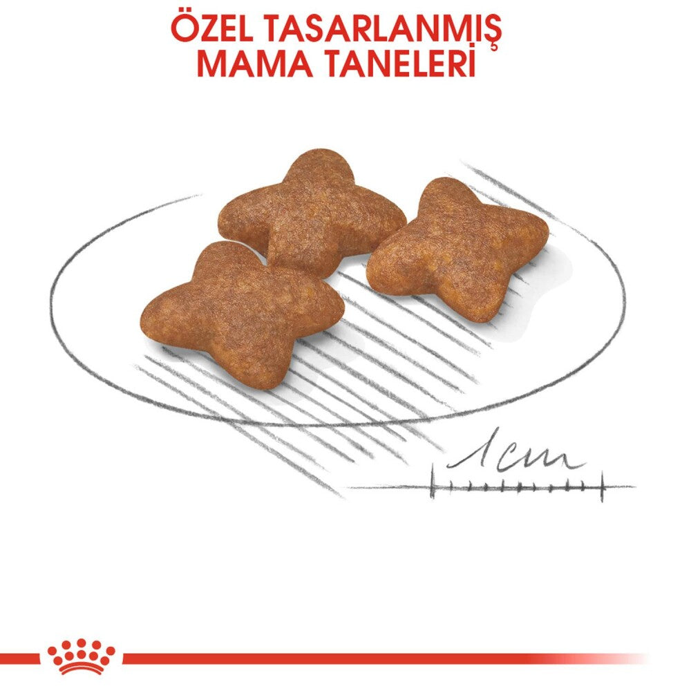 Royal Canin Mini Adult Küçük Irk Yetişkin Köpek Maması 8 KG  | SRC: Barcode: 3182550716888