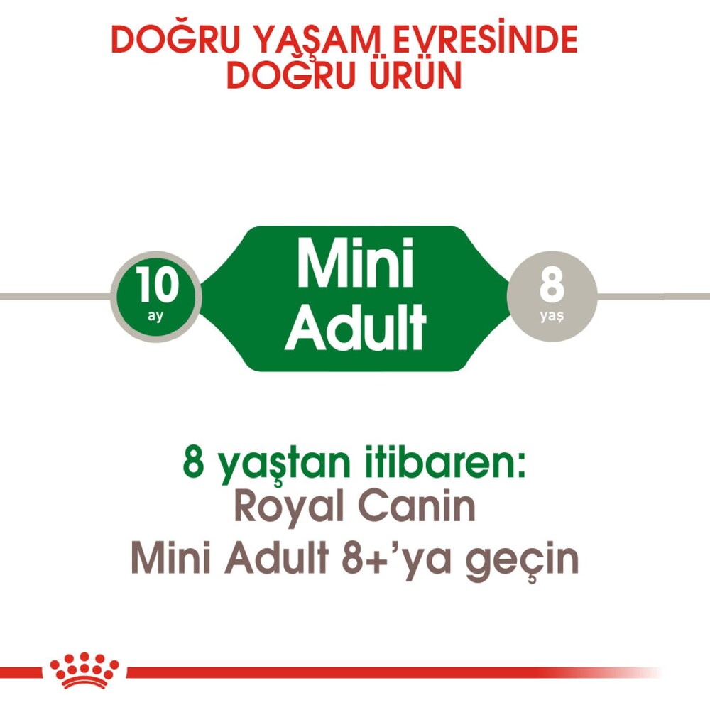 Royal Canin Mini Adult Küçük Irk Yetişkin Köpek Maması 4 KG  | SRC: Barcode: 3182550727822
