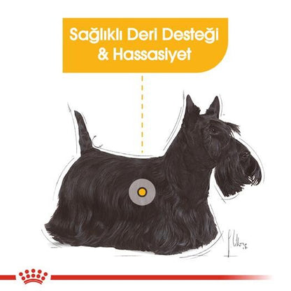 Royal Canin Mini Dermacomfort Deri Hassasiyeti İçin Köpek Maması 3 KG  | SRC: Barcode: 3182550793506