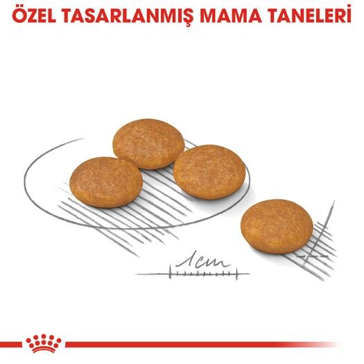Royal Canin Mini Dermacomfort Deri Hassasiyeti İçin Köpek Maması 3 KG  | SRC: Barcode: 3182550793506