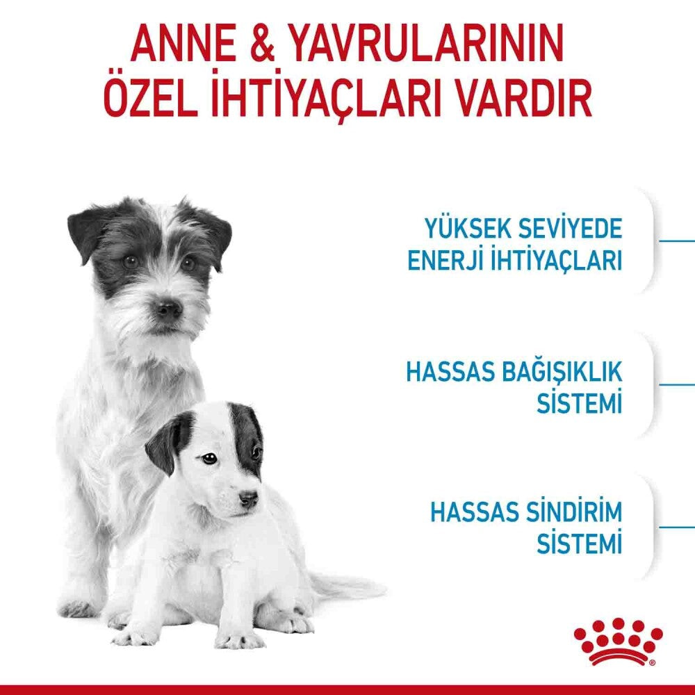 Royal Canin Mini Starter Yavru Köpek Maması 4 KG  | SRC: Barcode: 3182550932707