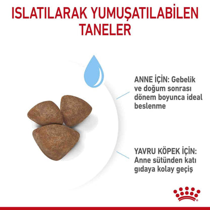 Royal Canin Mini Starter Yavru Köpek Maması 4 KG  | SRC: Barcode: 3182550932707
