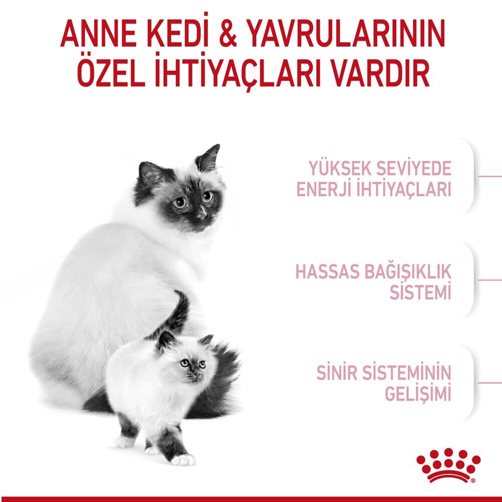 Royal Canin Mother & Baby Cat 34 Anne Ve Yavru Kedi Maması 4 KG  | SRC: Barcode: 3182550707329