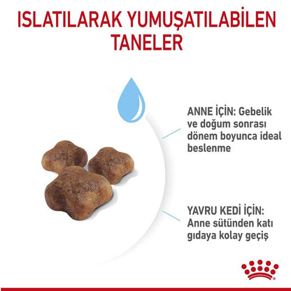 Royal Canin Mother&baby Cat 34 Anne Ve Yavru Kedi Maması 400 GR  | SRC: Barcode: 3182550707305