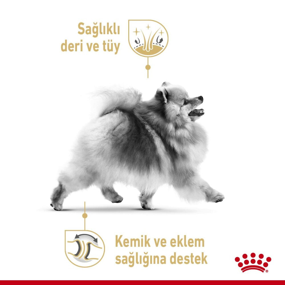 Royal Canin Pomeranian Yetişkin Köpek Irk Maması 3 KG  | SRC: Barcode: 3182550908450