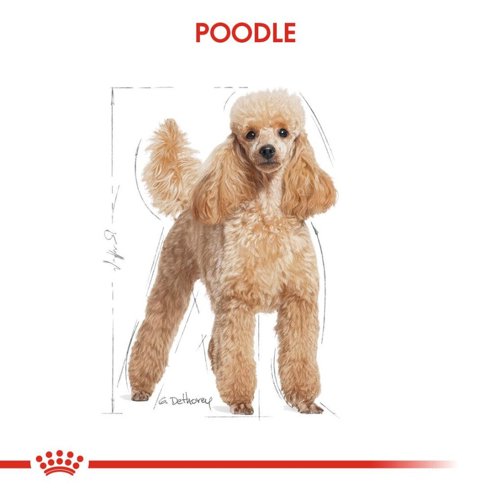Royal Canin Poodle Yetişkin Köpek Maması 3 KG  | SRC: Barcode: 3182550867719