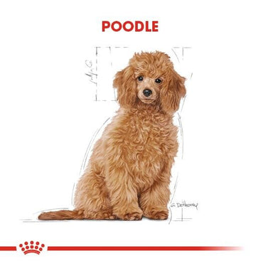 Royal Canin Poodle Yavru Köpek Maması 3 KG  | SRC: Barcode: 3182550765206