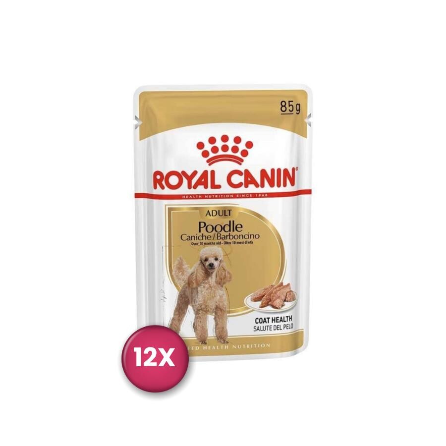 Royal Canin Poodle Yetişkin Pouch Köpek Konservesi X 12 85 GR  | SRC: Barcode: 9003579001653-12