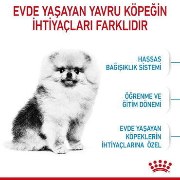Royal Canin Puppy Mini Indoor Tavuklu Yavru Köpek Maması 1.5 KG  | SRC: Barcode: 3182550838351