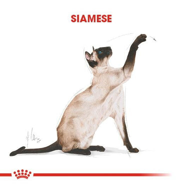 Royal Canin Siamese 38 Siyam Kedisine Özel Yetişkin Kedi Maması 2 KG  | SRC: Barcode: 3182550710688