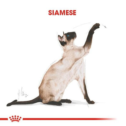Royal Canin Siamese 38 Siyam Kedisine Özel Yetişkin Kedi Maması 2 KG  | SRC: Barcode: 3182550710688