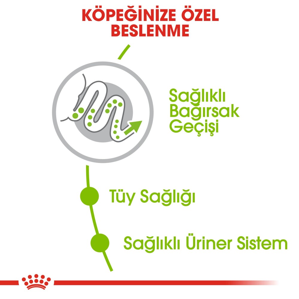 Royal Canin Xs Adult Küçük Irk Yetişkin Köpek Maması 1.5 KG  | SRC: Barcode: 3182550793728