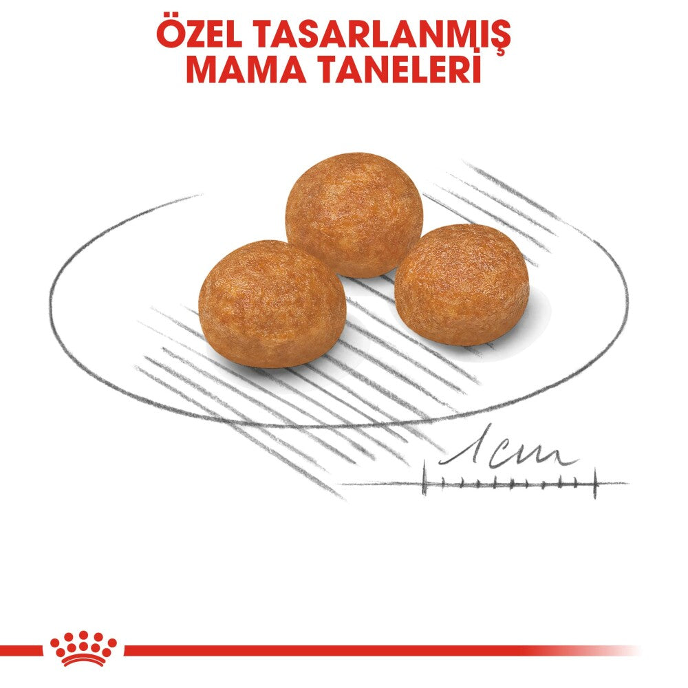 Royal Canin Xs Adult Küçük Irk Yetişkin Köpek Maması 1.5 KG  | SRC: Barcode: 3182550793728