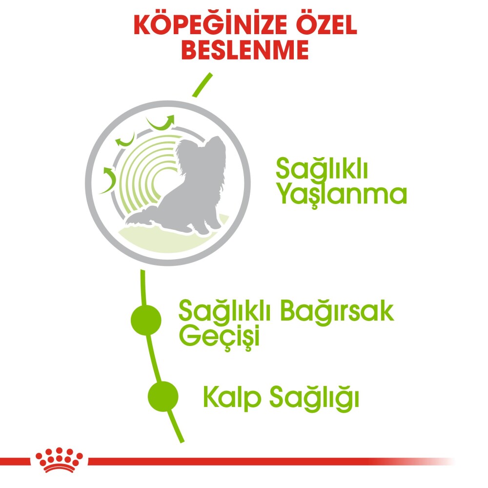 Royal Canin Xs Ageing 12 Küçük Irk Yaşlı Köpek Maması 1.5 KG  | SRC: Barcode: 3182550793858