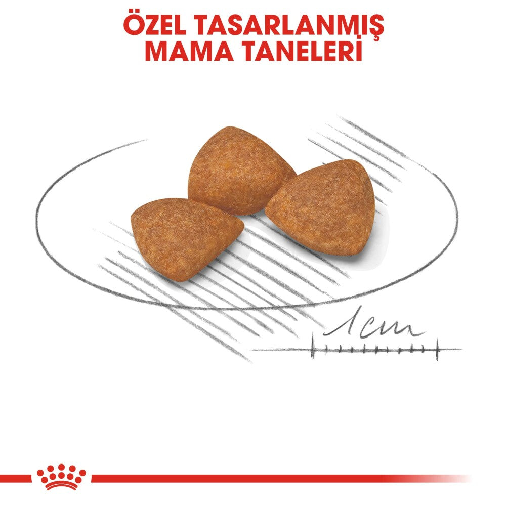 Royal Canin Xs Ageing 12 Küçük Irk Yaşlı Köpek Maması 1.5 KG  | SRC: Barcode: 3182550793858