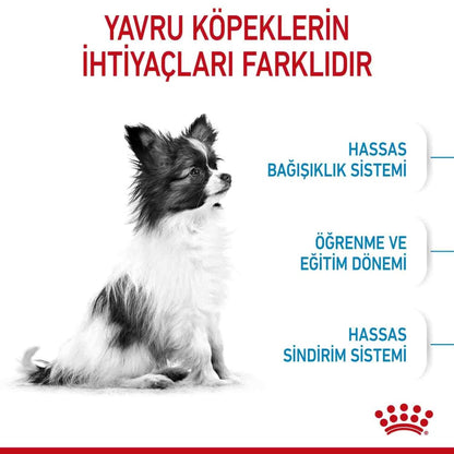 Royal Canin Xs Puppy Mini Irk Yavru Köpek Maması 3 KG  | SRC: Barcode: 3182550793636