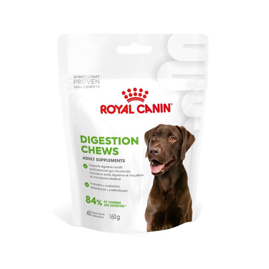 Royal Canin Yetişkin Köpekler İçin Sindirim Sistemini Destekleyen Tamamlayıcı Ödül Maması 160 GR  | SRC: Barcode: 3182551063592