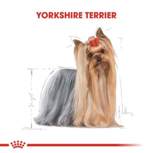 Royal Canin Yorkshire 28 Yorkshire Terrier Köpeklerine Özel Irk Maması 1.5 KG  | SRC: Barcode: 3182550716857