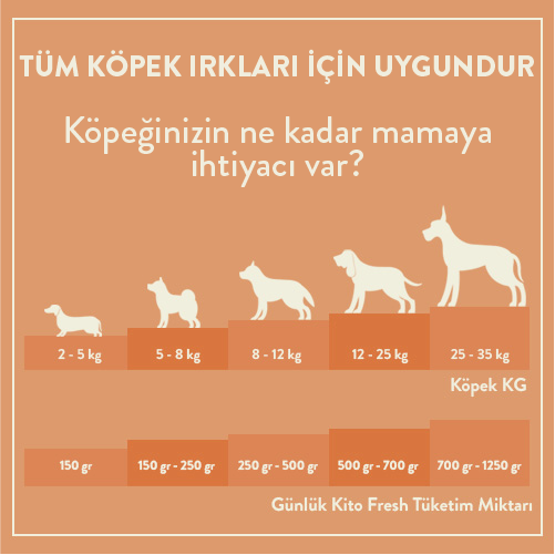 Günlük Kito Fresh Tüketim Miktarı