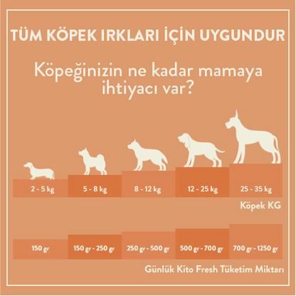 Günlük Kito Fresh Tüketim Miktarı