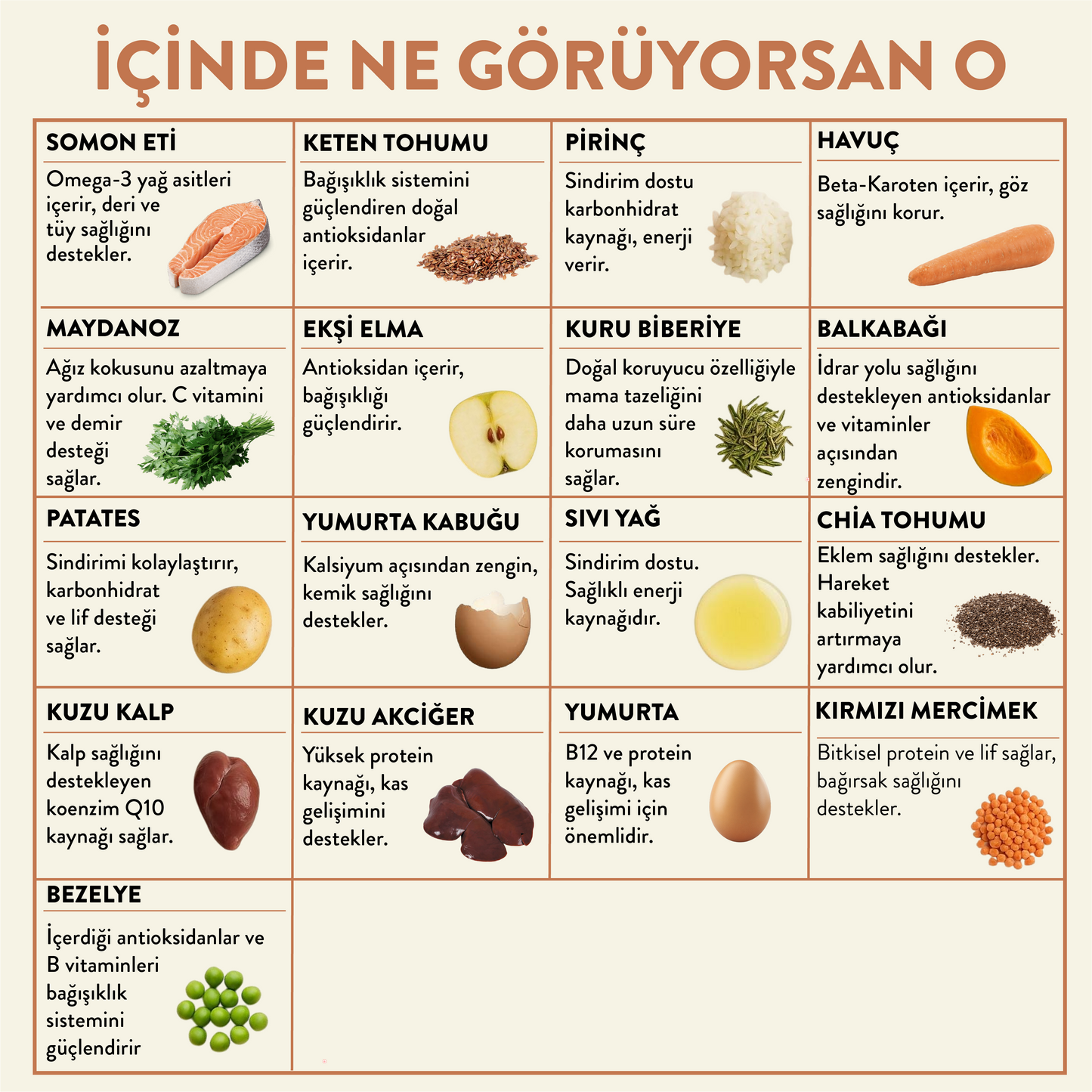 Somon Etli Köpek Yemeği İçindekiler