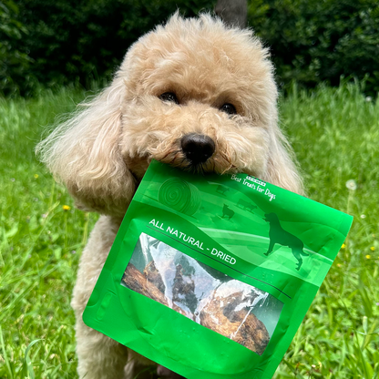 Tavuk Boyun Çiğnemelik Köpek Ödül Maması