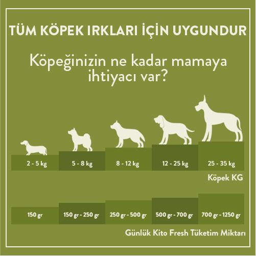 Kito Fresh Tavuk Etli Köpek Yemeği