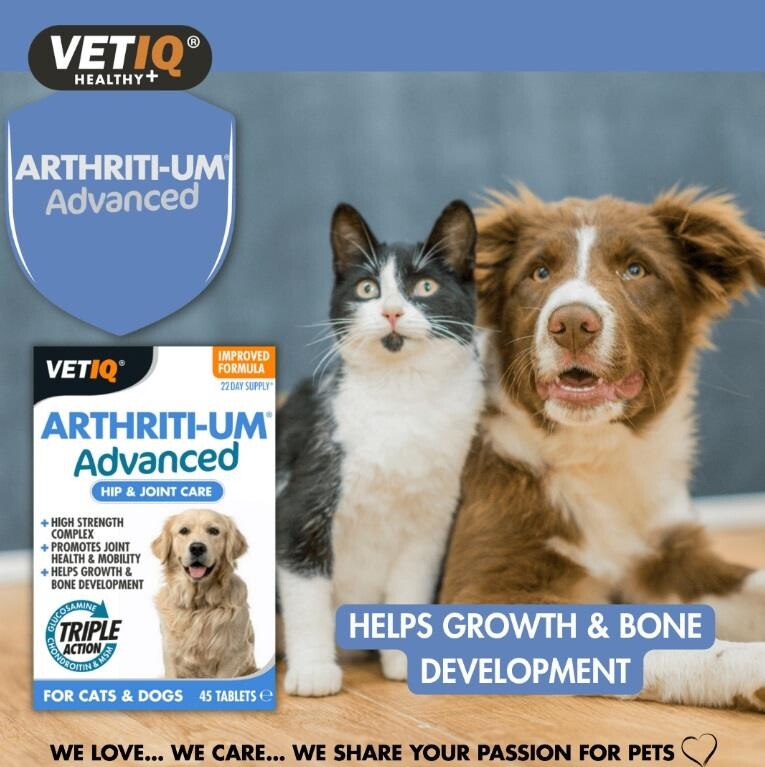 Vet Iq Arthiriti-um Kedi Ve Köpekler İçin Kalça Ve Eklem Bakımı 45 Tablet  | SRC: Barcode: 750826005719