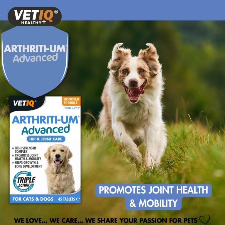 Vet Iq Arthiriti-um Kedi Ve Köpekler İçin Kalça Ve Eklem Bakımı 45 Tablet  | SRC: Barcode: 750826005719