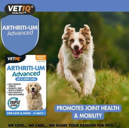 Vet Iq Arthiriti-um Kedi Ve Köpekler İçin Kalça Ve Eklem Bakımı 45 Tablet  | SRC: Barcode: 750826005719