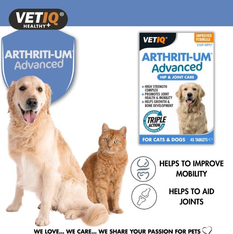 Vet Iq Arthiriti-um Kedi Ve Köpekler İçin Kalça Ve Eklem Bakımı 45 Tablet  | SRC: Barcode: 750826005719