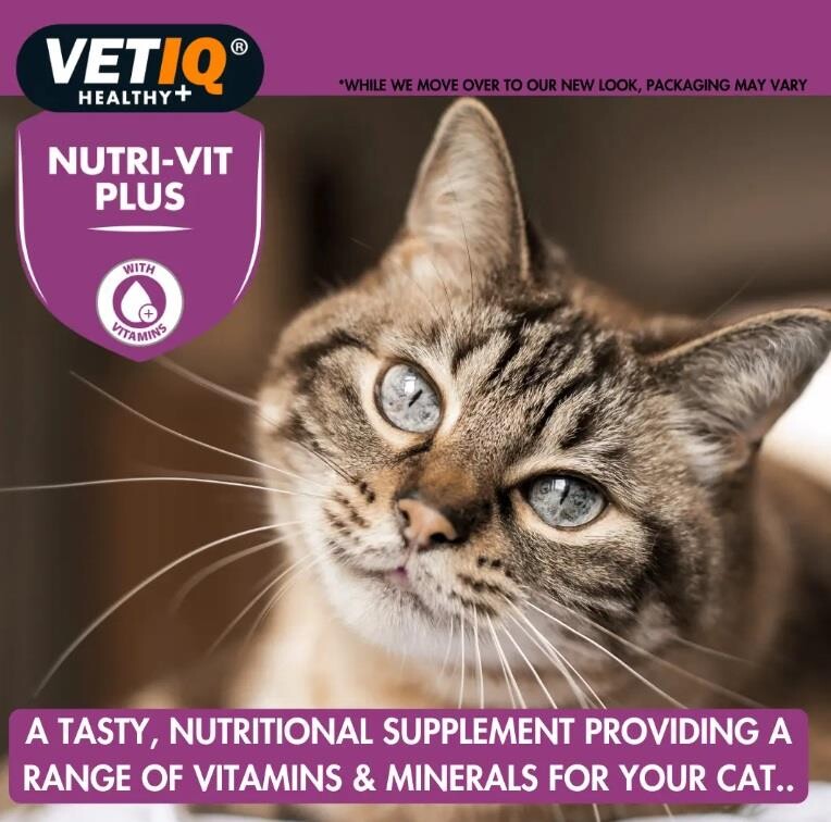 Vet Iq Nutri-vit Plus For Cats & Kittens Kediler İçin Vitamin & Mineral Takviyesi 70 GR  | SRC: Barcode: 750826001384