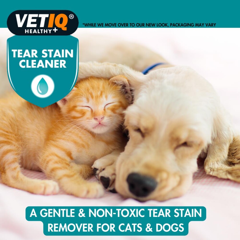 Vet Iq Tear Stain Remover Kedi Ve Köpek Gözyaşı Leke Çıkarıcı 100 ML  | SRC: Barcode: 750826000806