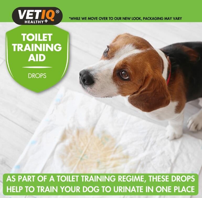 Vet Iq Training Aid Köpek Çiş Eğitim İlacı 60 ML  | SRC: Barcode: 750826000011