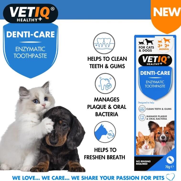 Vet Iq Denti Care Kedi Köpek İçin Diş Macunu Ve Diş Fırçası Seti  | SRC: Barcode: 750826006273