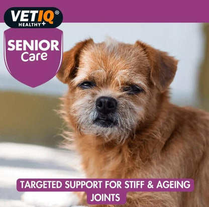 Vet Iq Senior Care Yaşlı Köpekler İçin Vitamin Mineral Takviyesi 45 Tablet  | SRC: Barcode: 750826000981