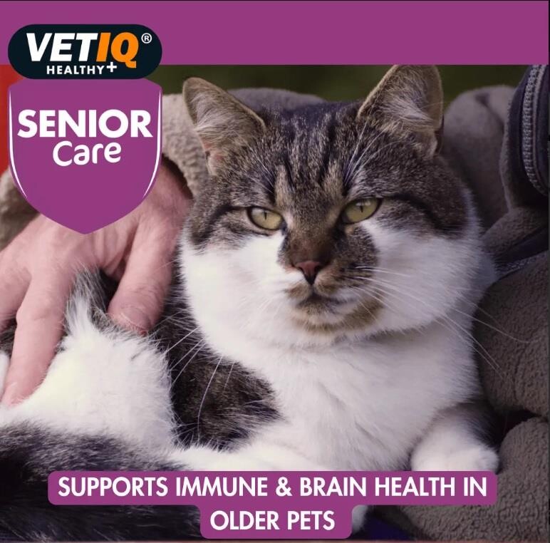 Vet Iq Senior Care Yaşlı Köpekler İçin Vitamin Mineral Takviyesi 45 Tablet  | SRC: Barcode: 750826000981